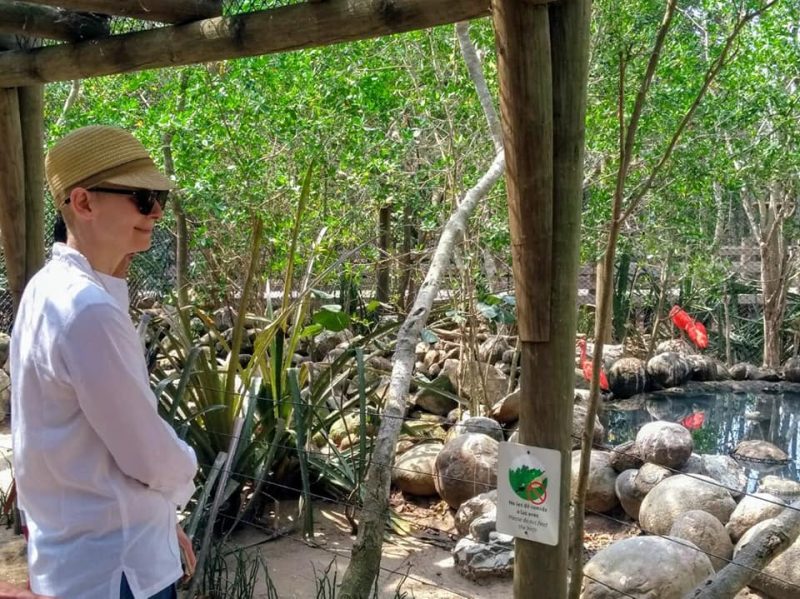 Tour Al Aviario En Barú