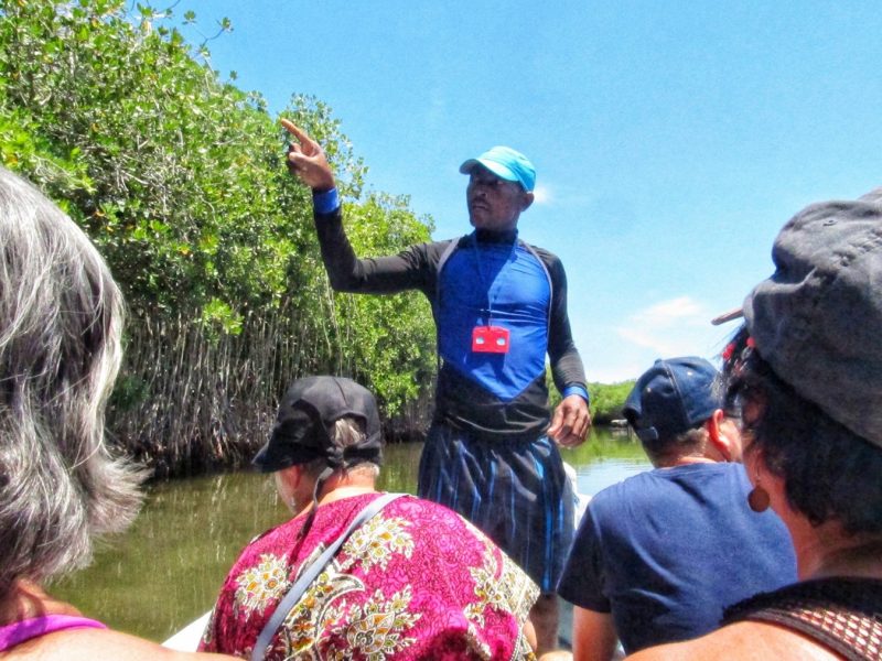 Tour Privado: Barú e Islas del Rosario