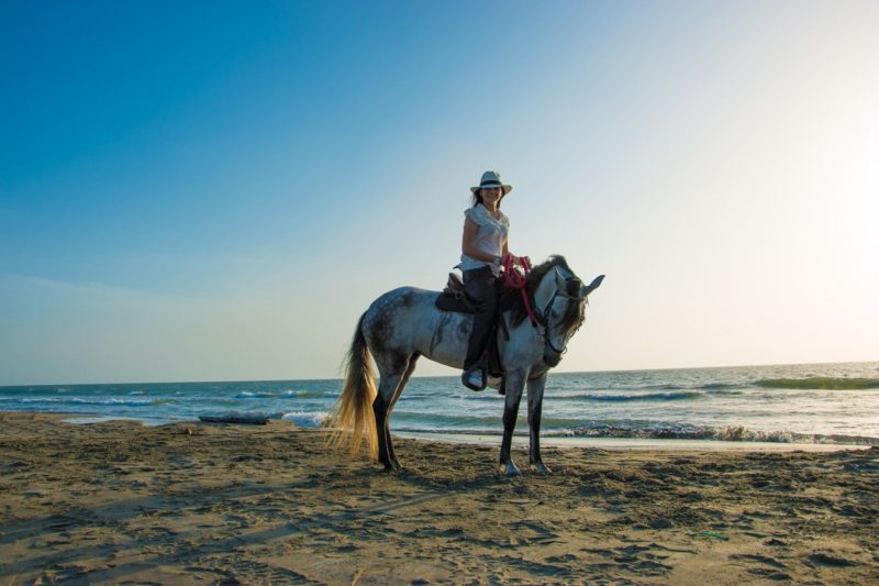 Horse Ride on the beach