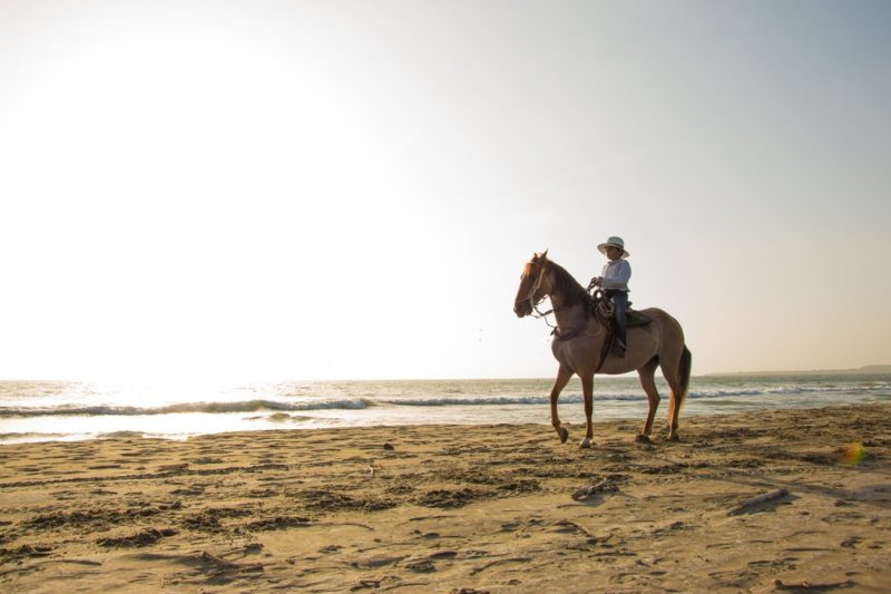 Horse Ride on the beach