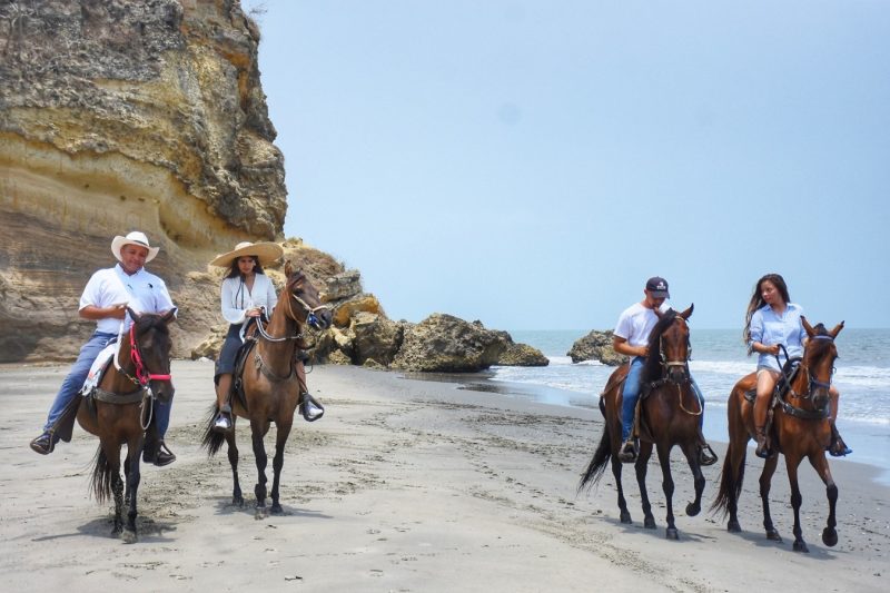 Horse Ride on the beach