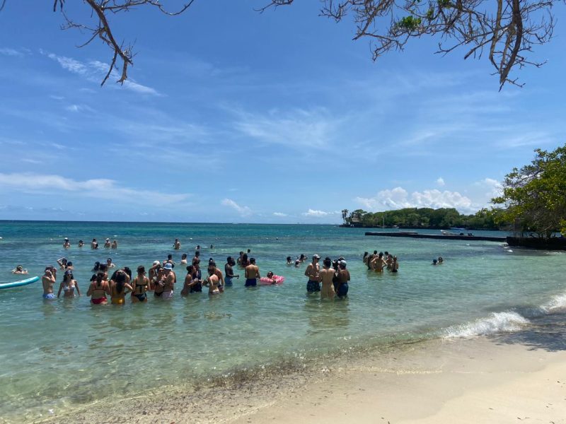 Rosario del Mar (Abanico) - Islas Del Rosario