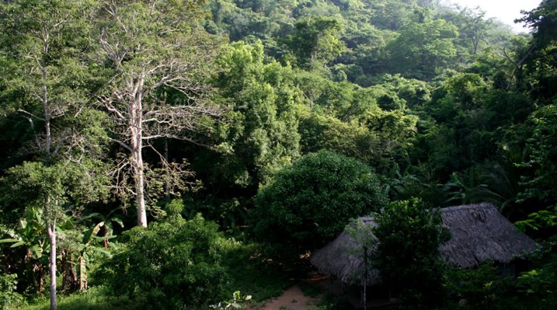 Santuario de Flora y Fauna Los Colorados