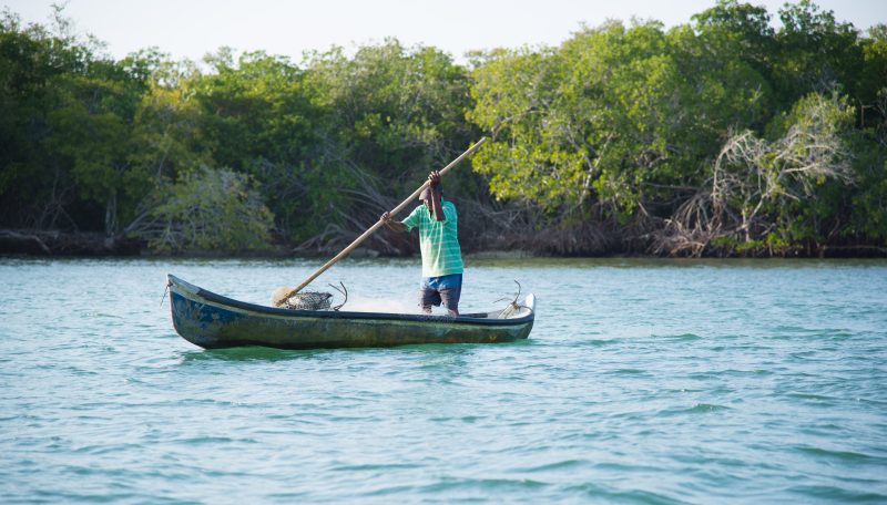 Tour Privado: Barú e Islas del Rosario